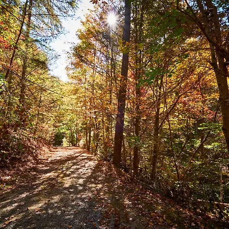 Gatlinburg Adventure Cabins Sevierville Extérieur photo