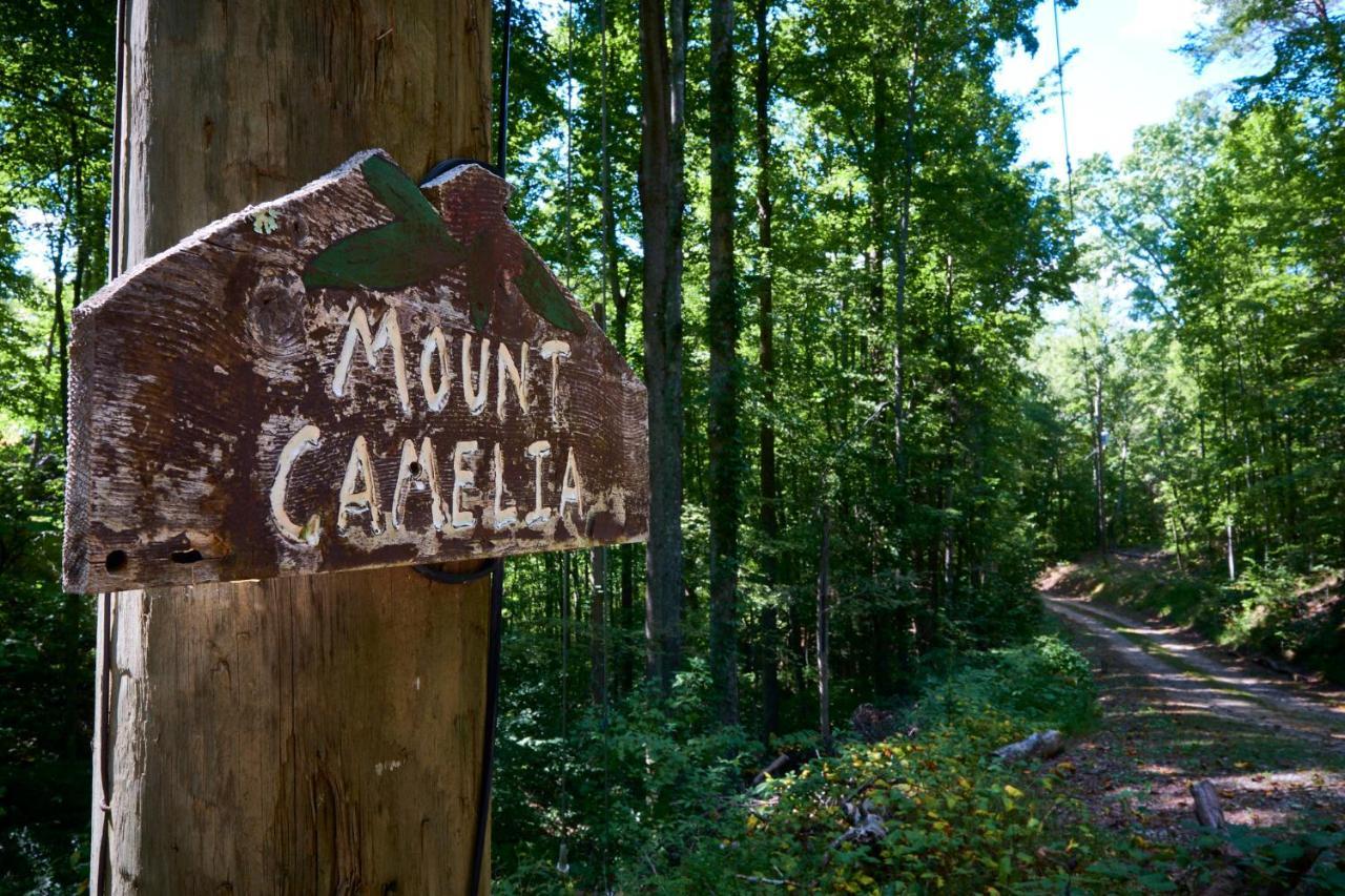 Gatlinburg Adventure * Sevierville